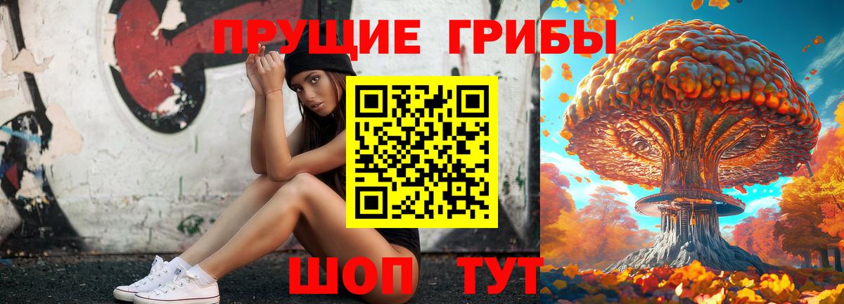 Тобольск  Псилоцибиновые грибы мицелий  Вход с VPN 